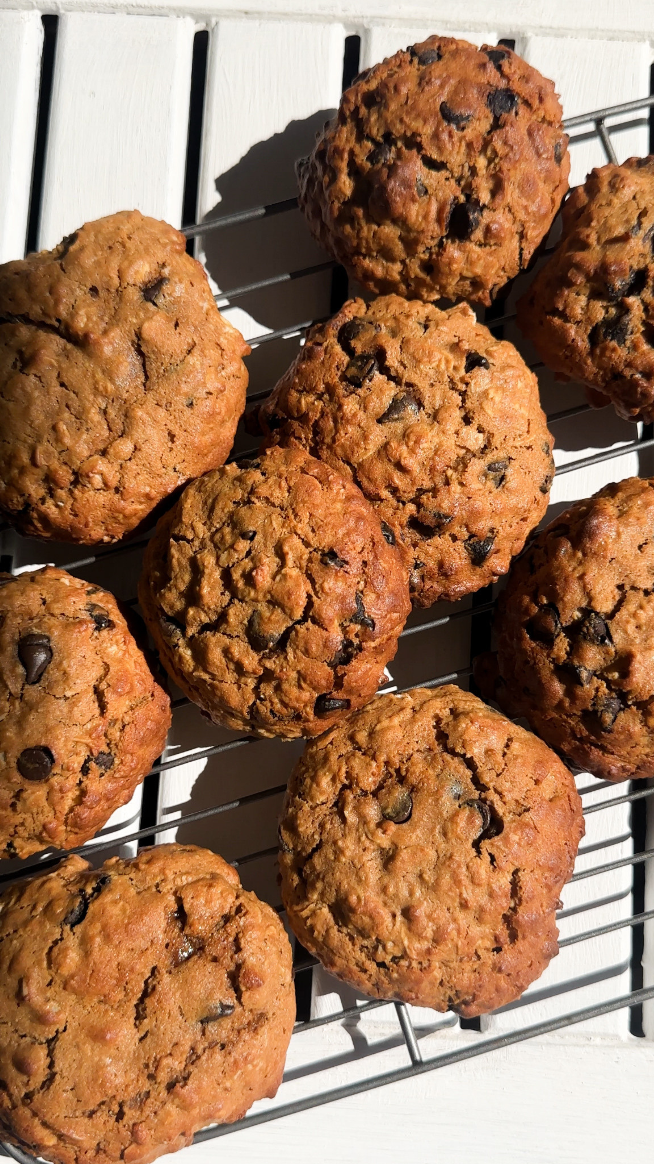 Chocolate Chip BF Cookie – Mungbean Health