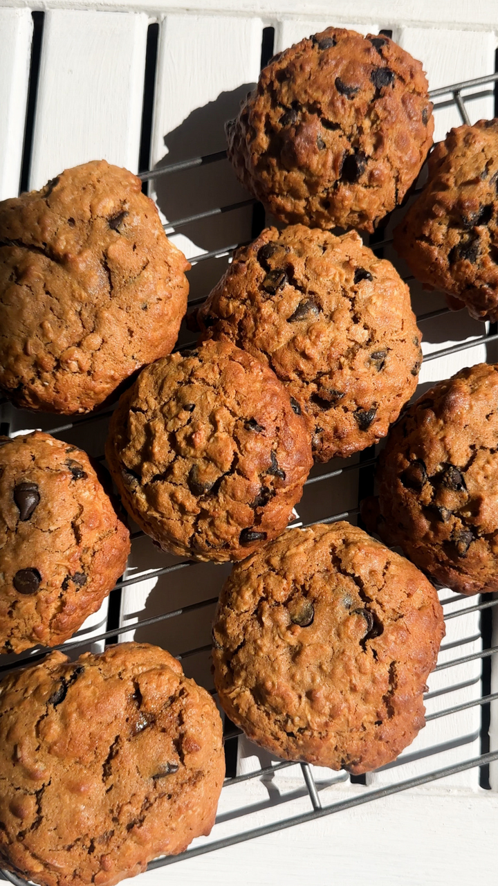 Chocolate Chip BF Cookie