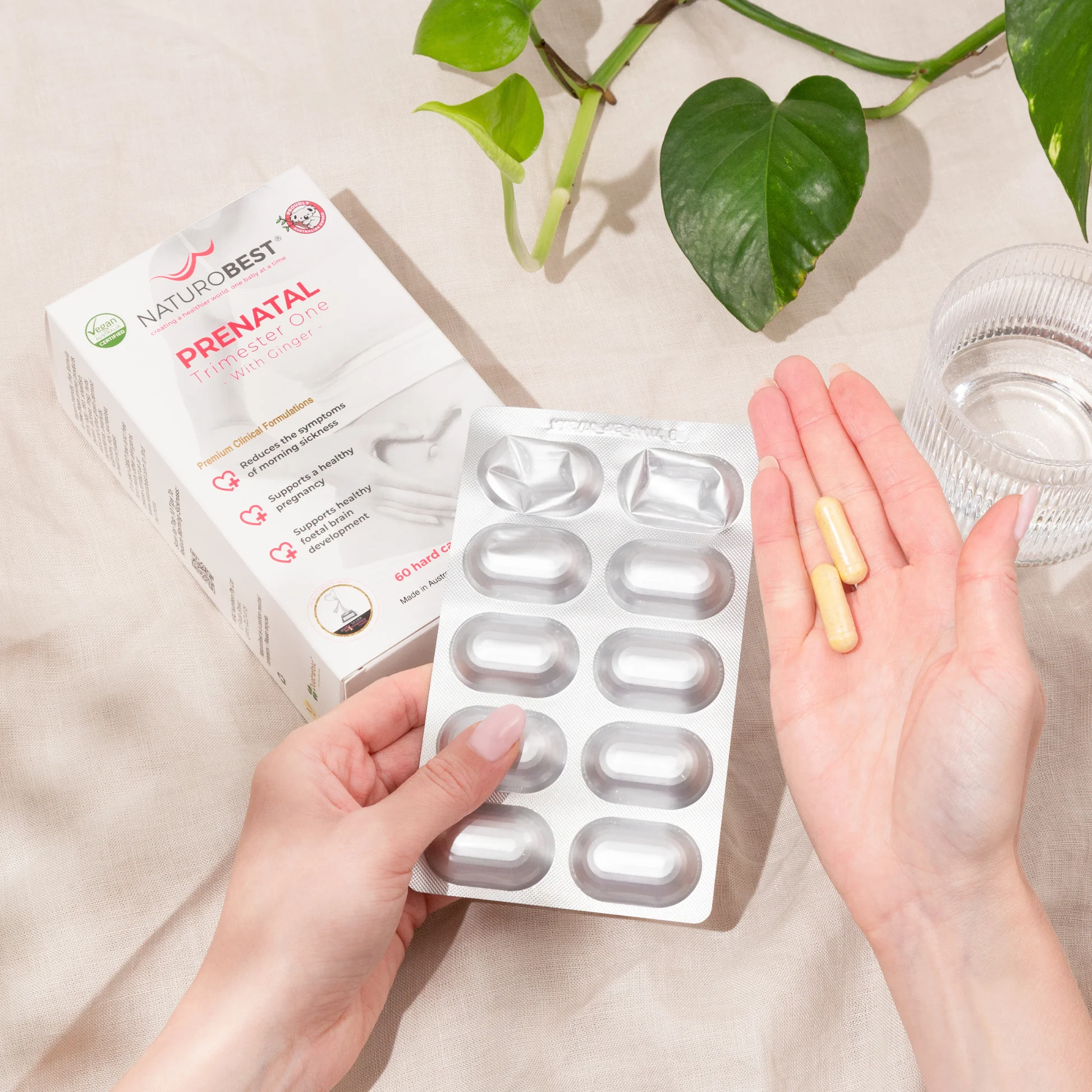 Trimester One Bundle